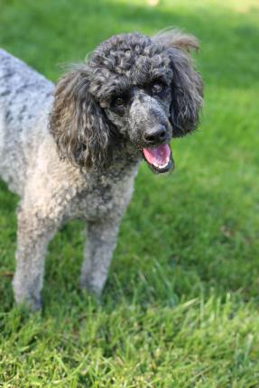 pexels-julie-luke-5486922